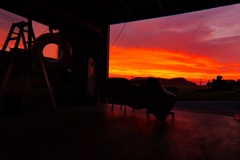 車庫から見た夕焼け