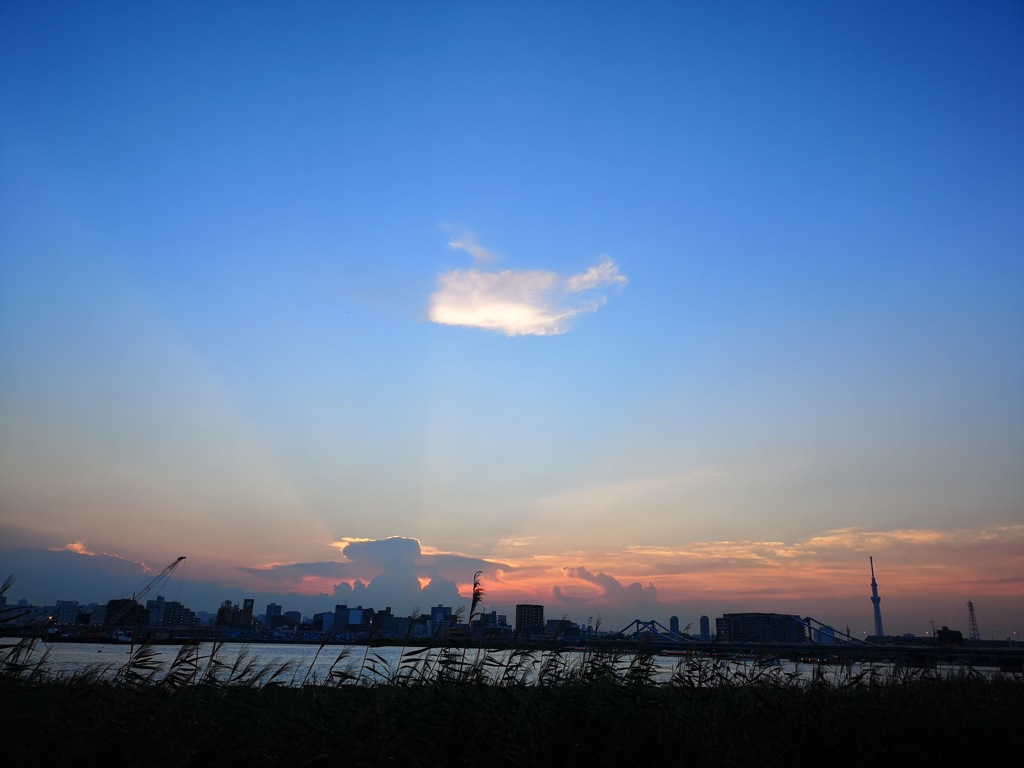江東花火大会夕焼け