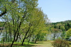 軽井沢　タリアセン
