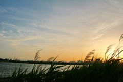 葛西臨海公園