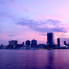 東京湾から