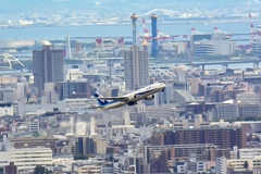 五月山公園からの