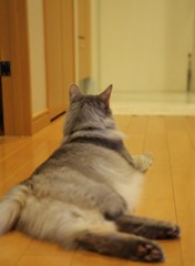 ママの帰りを待ってます。