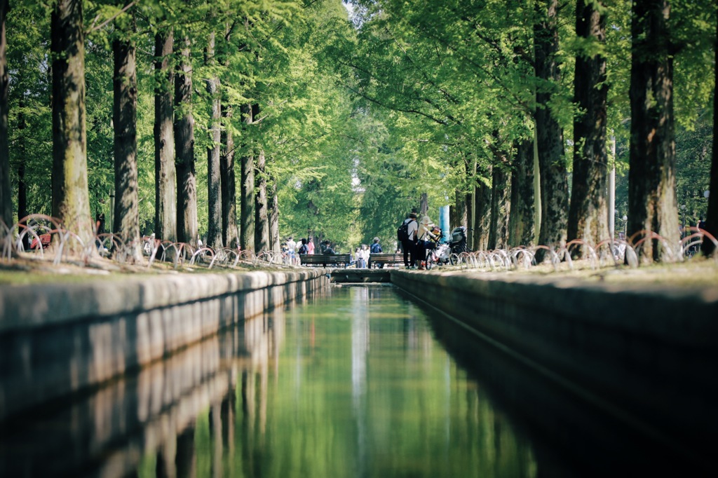 水辺の公園