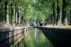 水辺の公園
