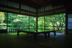 瑠璃光院