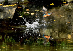 飛び出し（２）