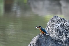 追いかけっこ疲れたよ