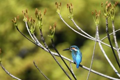 今日は何を食べようかな！