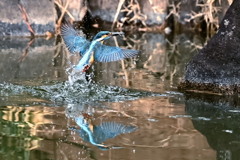 飛び出し３