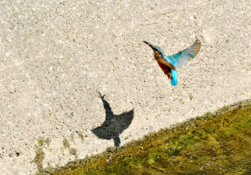小さいから自分で食べよう