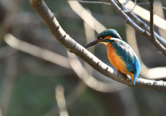 そろそろ行くか！