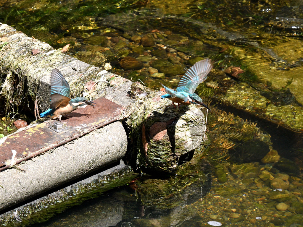 それじゃ行ってくる