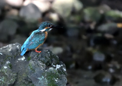 暑いな、一休み!