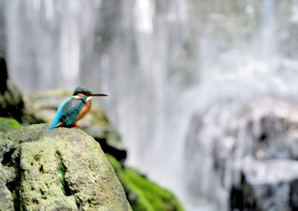 スローシャッター