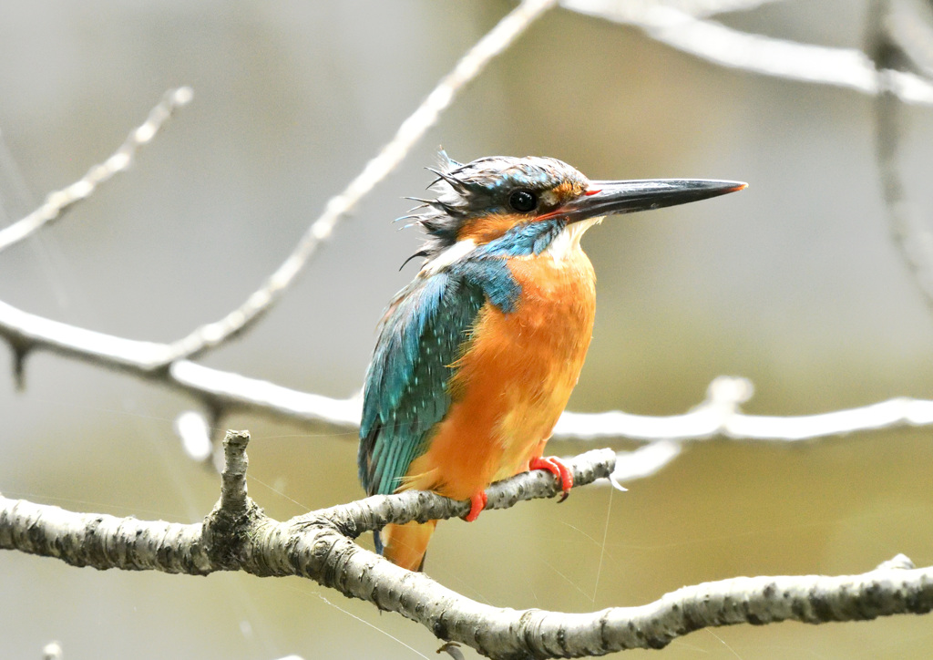 少しかわいたかな