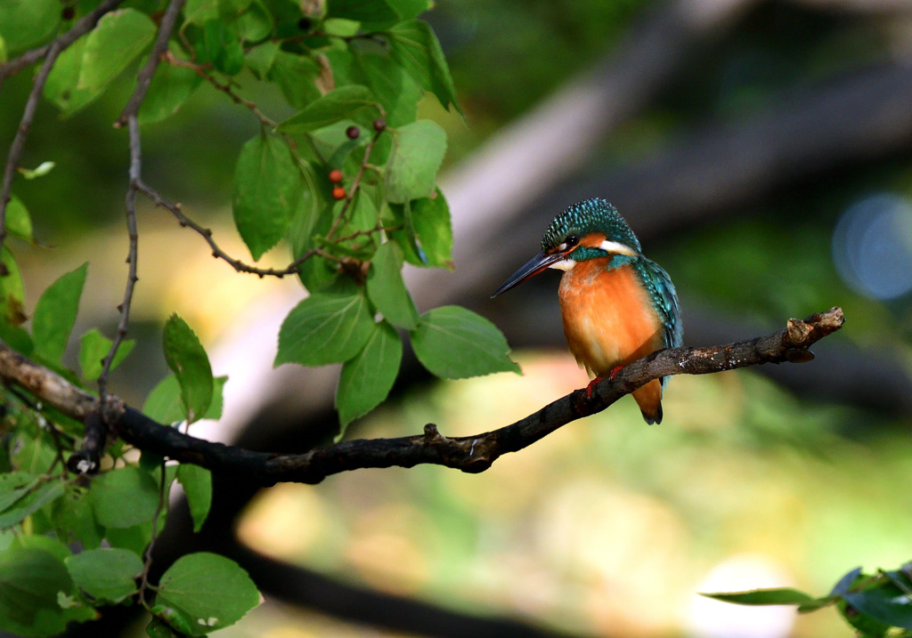 スポットライトを浴びて