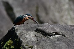 いただきますー２