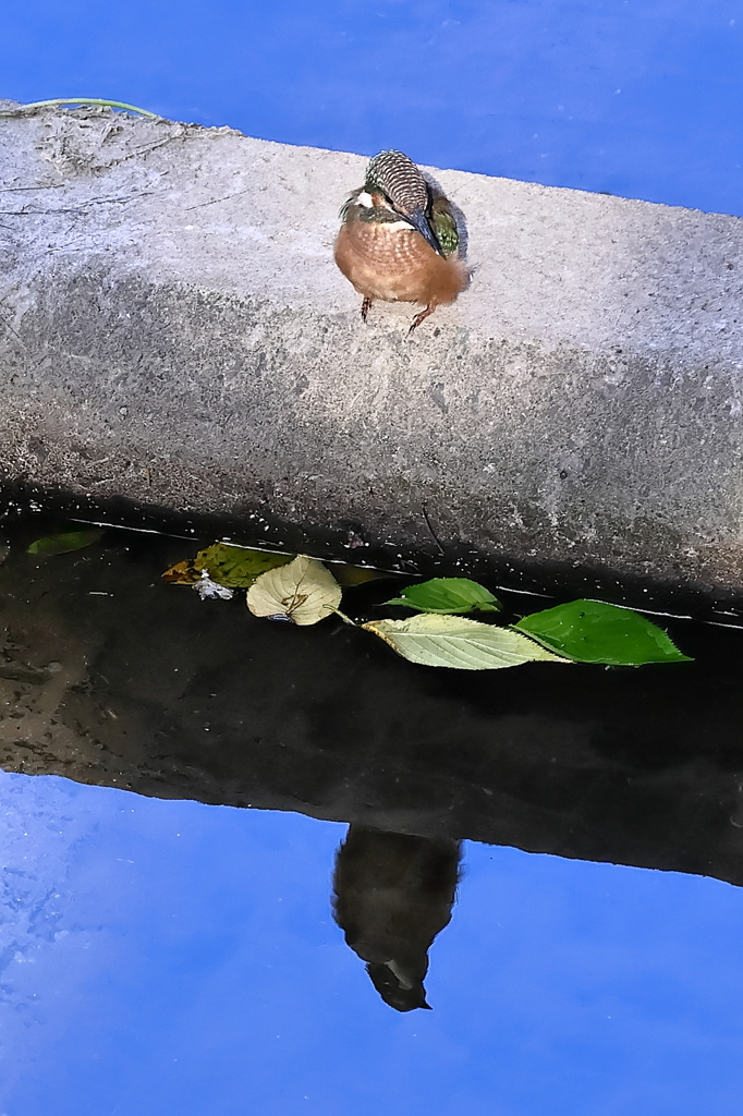 何見てる？
