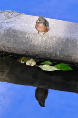 何見てる？