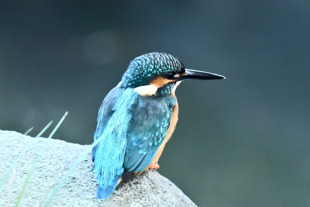 もうすぐ4時、疲れた！