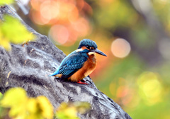 パステルカラーの中で