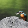 いただきまーす！