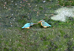 お待ちどうさま