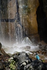 スローシャッター