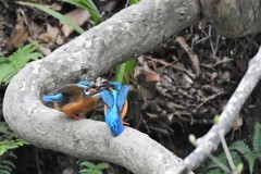 お待ちどうさま！