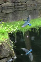 旋回