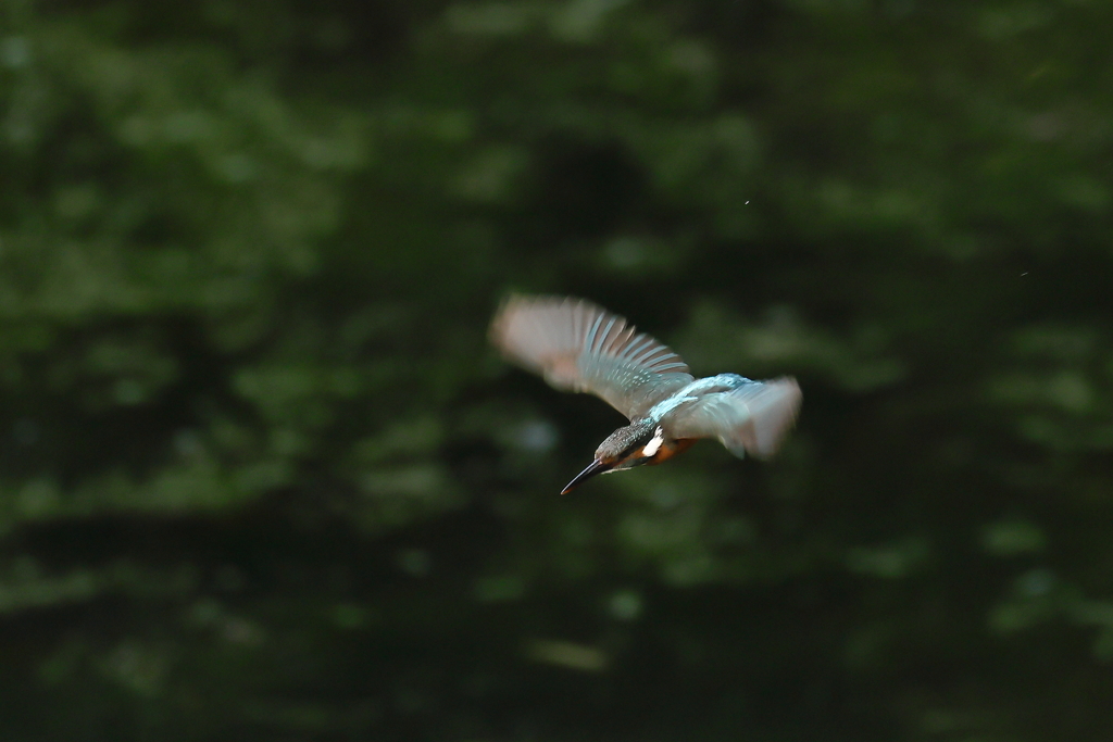 そろそろ帰ろうか