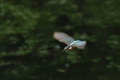 そろそろ帰ろうか