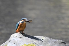 これは自分の！