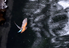 行ってきます！