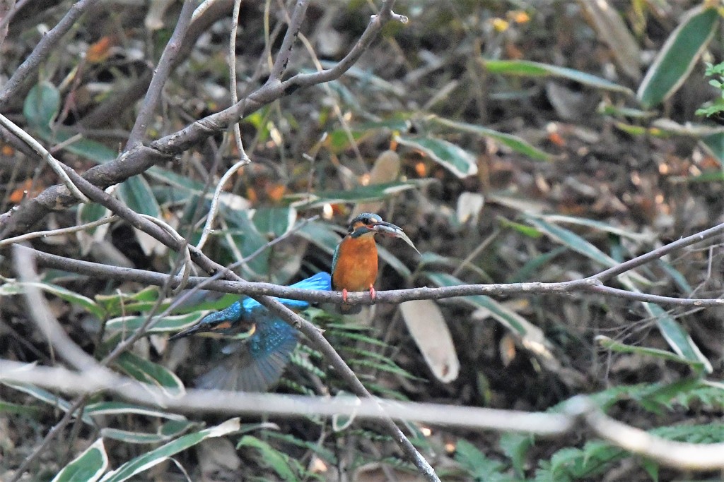 それじゃよろしく！