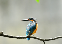 水浴びしてすっきり