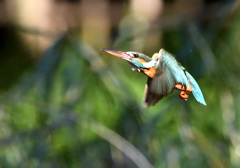 そろそろ帰ろー!