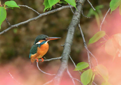 待っているのに！