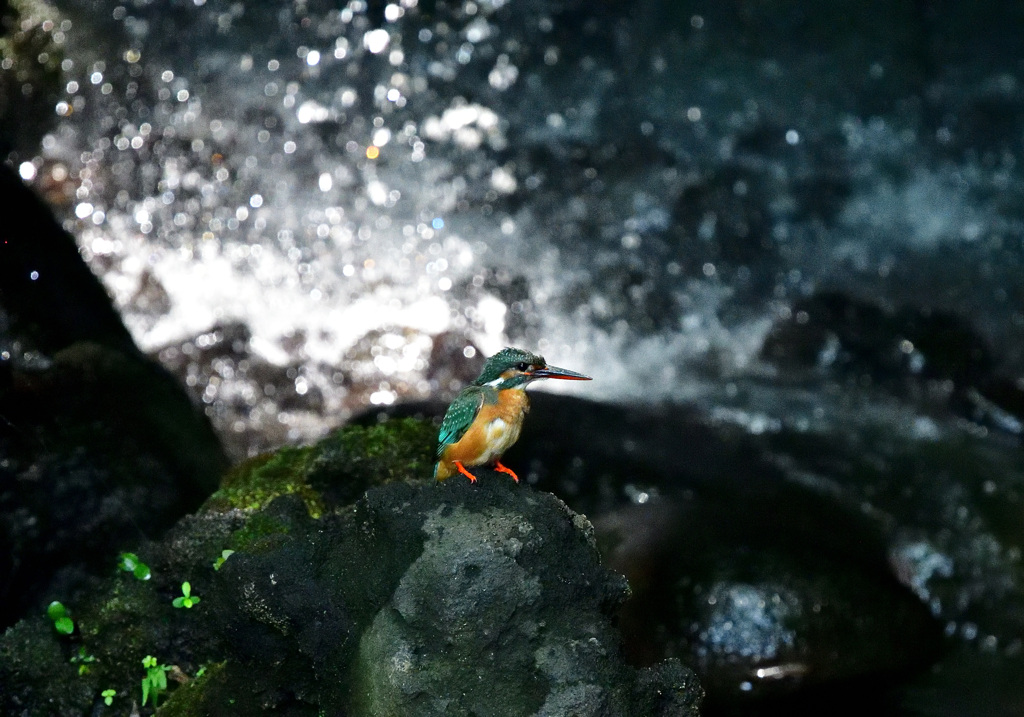 川床は涼しいな！