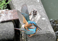 向きが違う 向きが違う