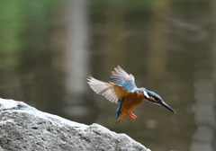 よッと！場所替