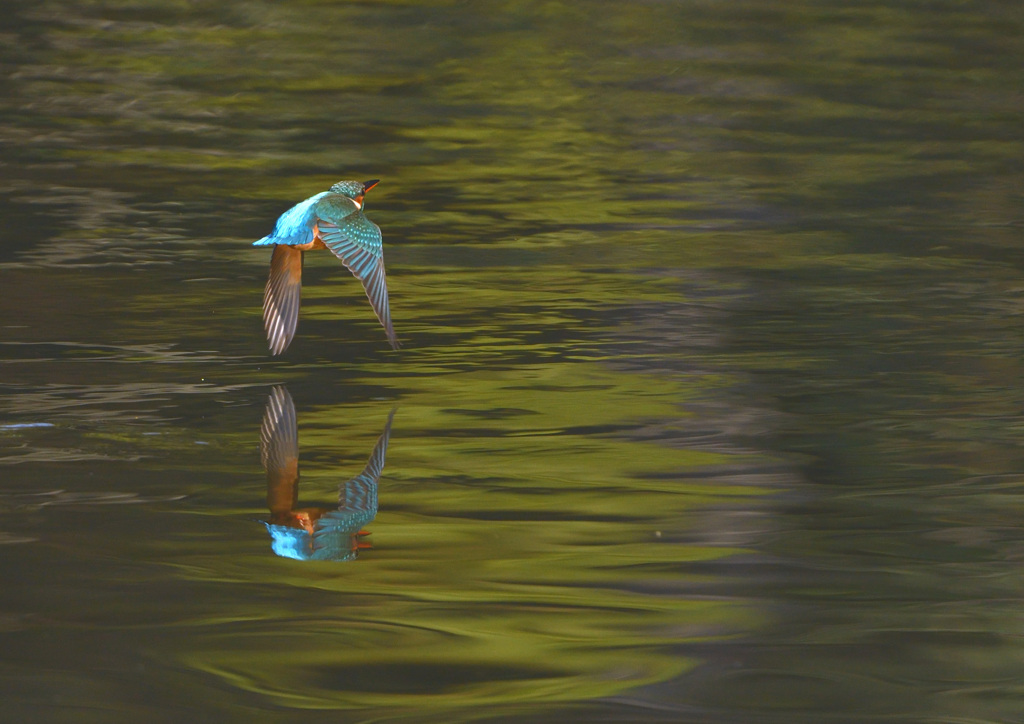 いただきまーす