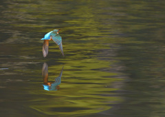 いただきまーす