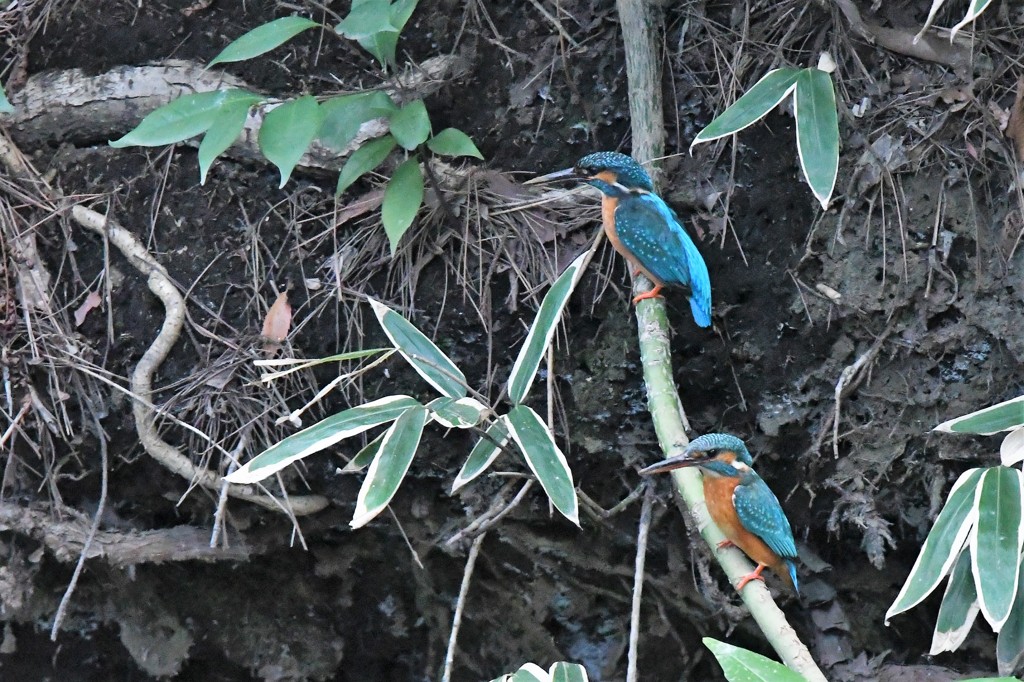 そろそろ行こうよ！