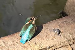 お腹空いたね