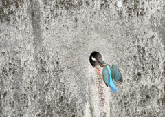 子供にご飯 子供にご飯