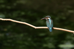 暗くなってきたな