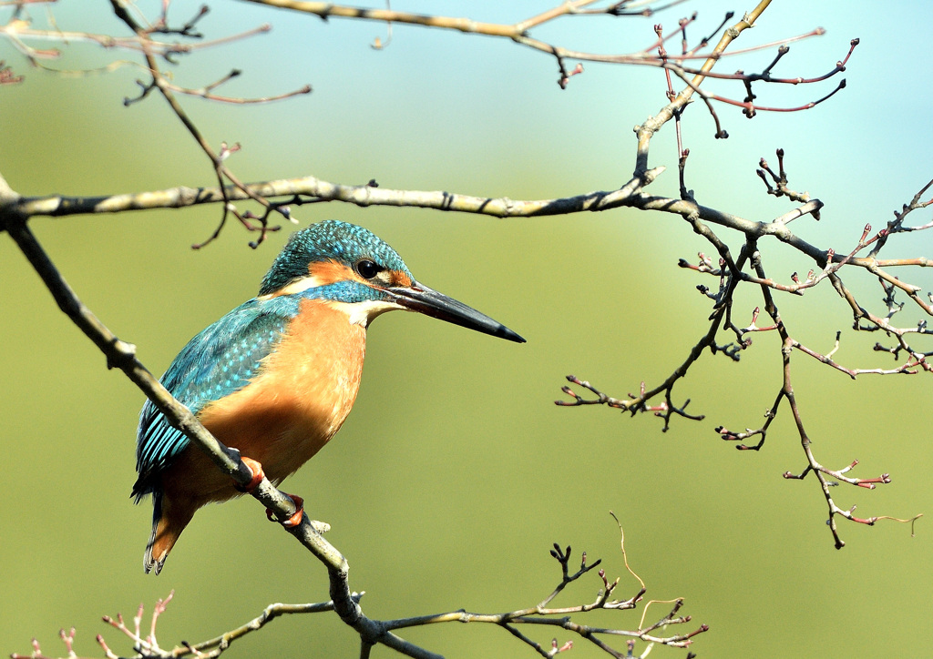 また休憩するの