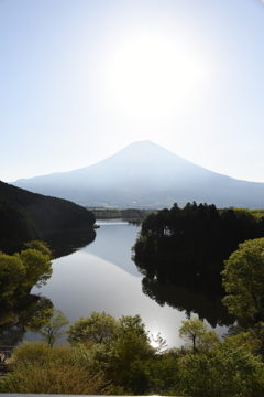 田貫湖の朝